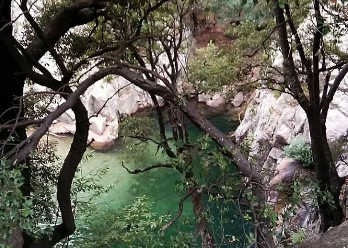 Agreable Vue Port Au Cap D'agde Agde